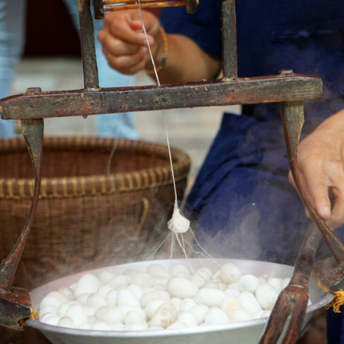 Post Cocoon Processing